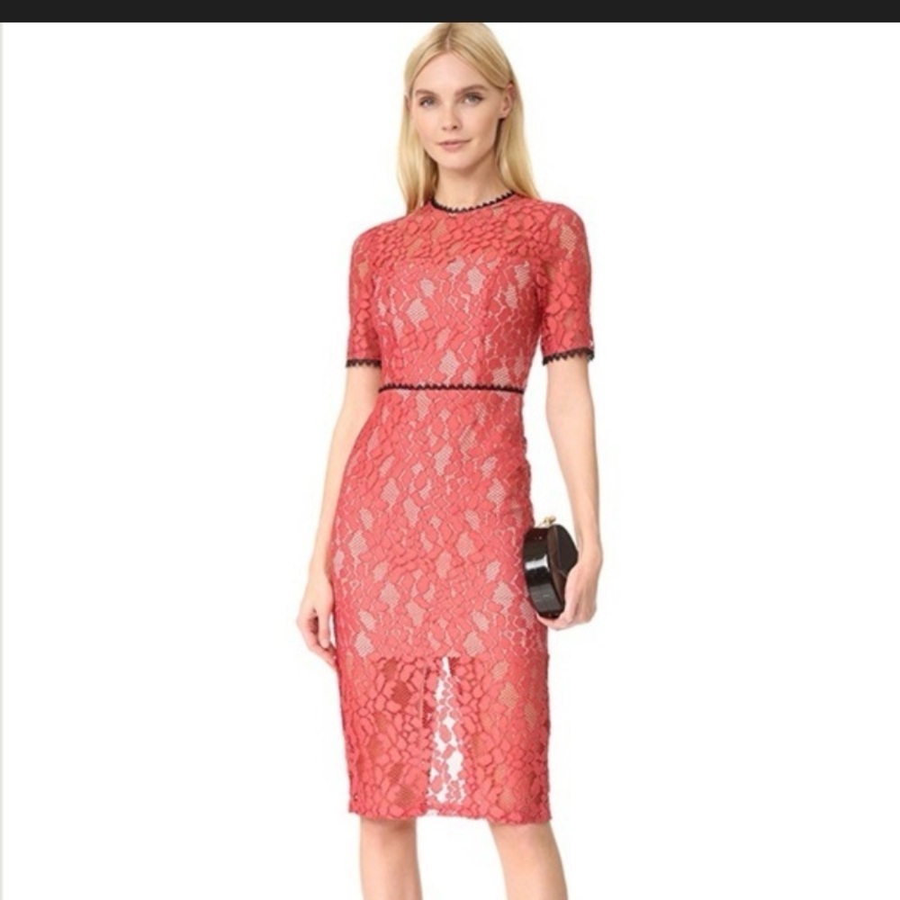 Stunning Alexis Coral Lace Sheath Dress with Black Trim M